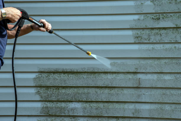 Best Patio and Deck Pressure Washing  in Lexington, VA